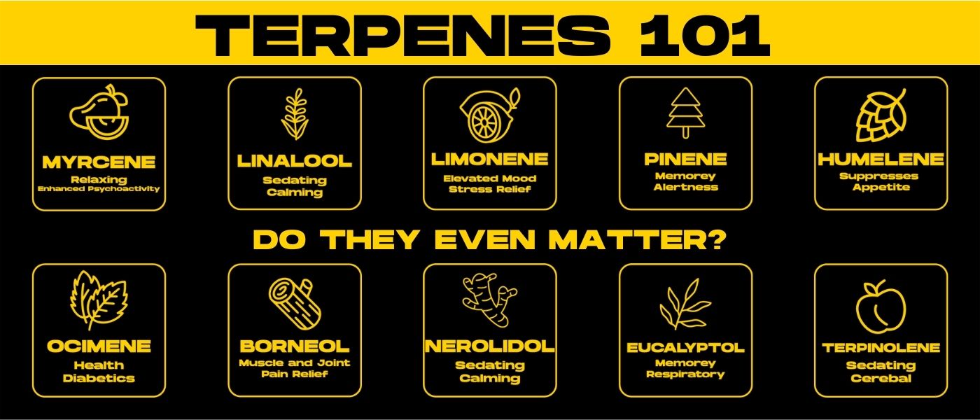 Terpenes 101
