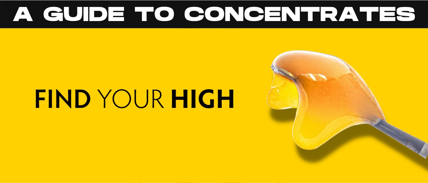 a yellow background with a yellow mask and a black and white text that reads,.