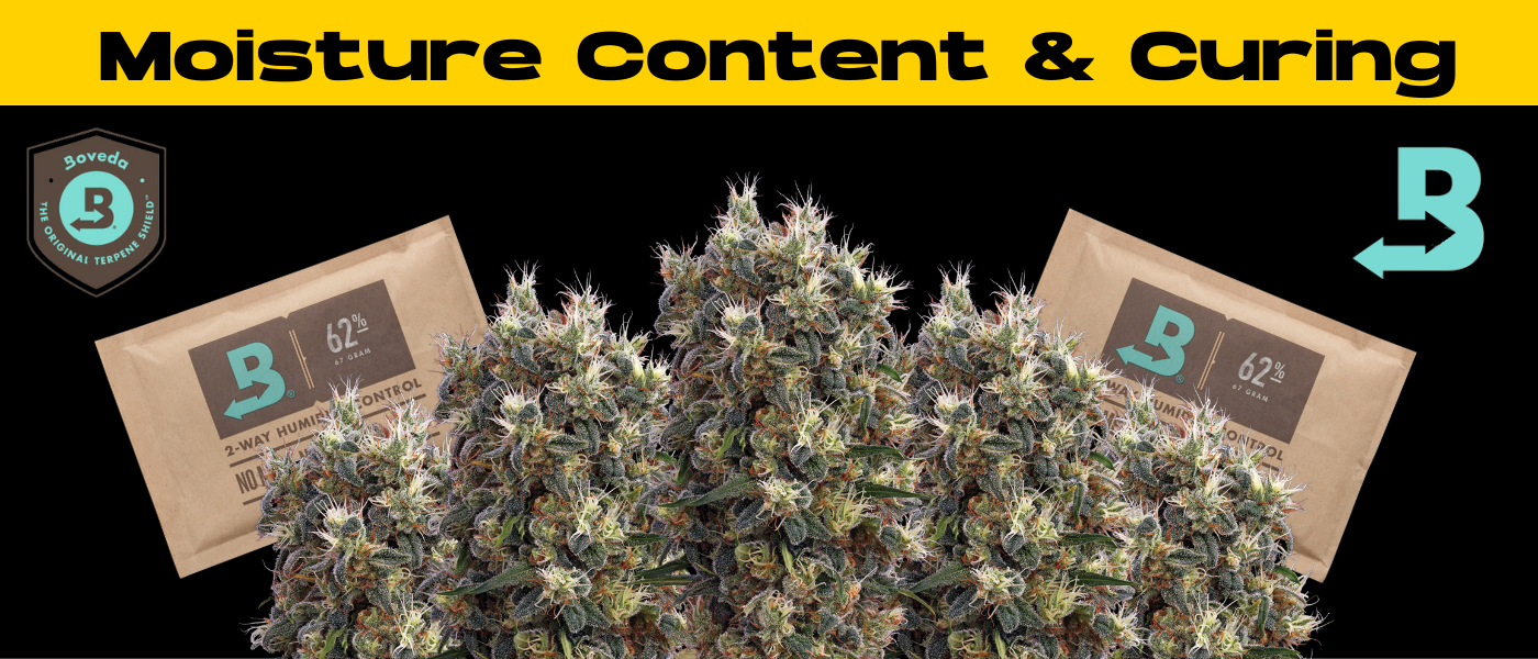 a bag of marijuana next to a pile of marijuana buds.