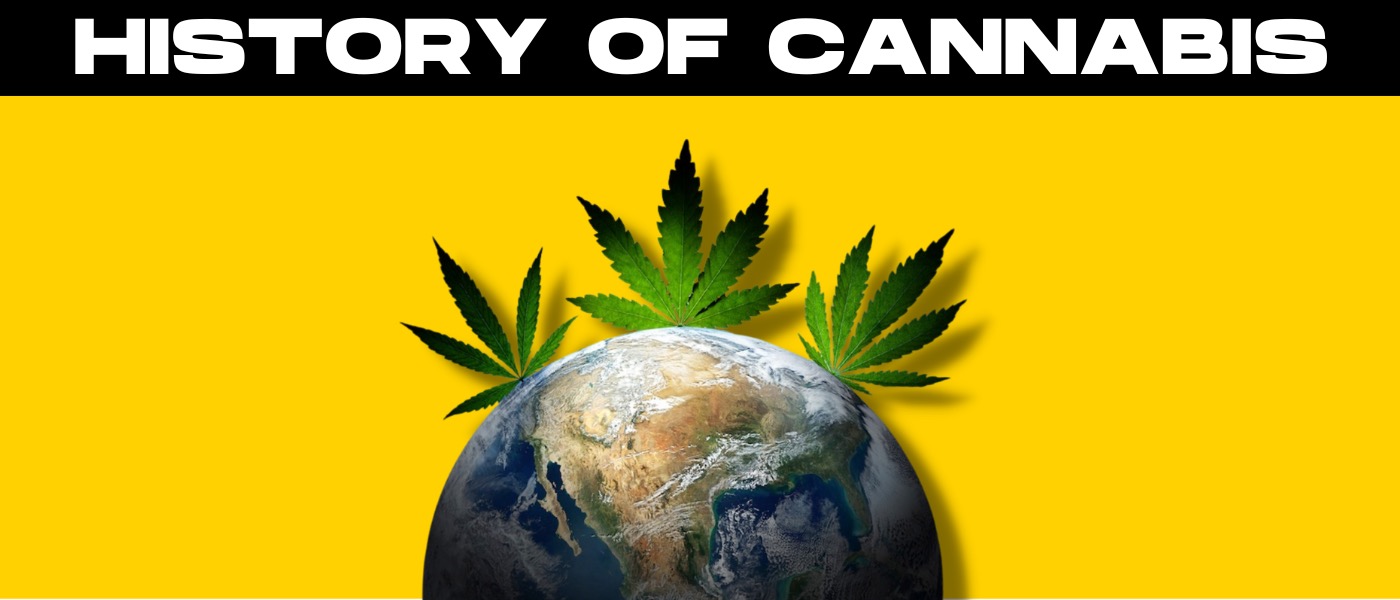 a picture of a globe with a plant growing out of it.