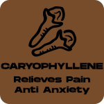 a brown and black sign that says caryophyliene relieves pain.