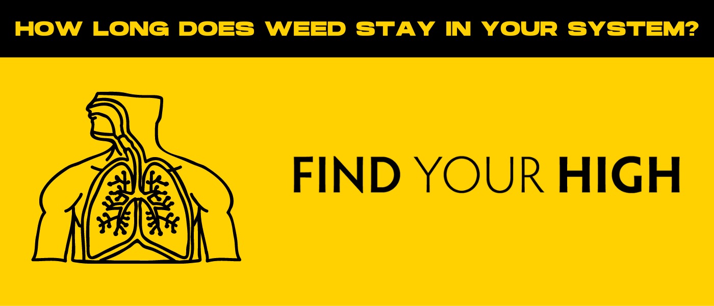 a yellow background with a black and white image of a bottle and the words find.