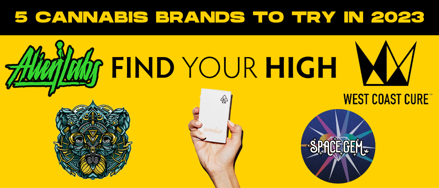 a person holding up a phone in front of a yellow background.