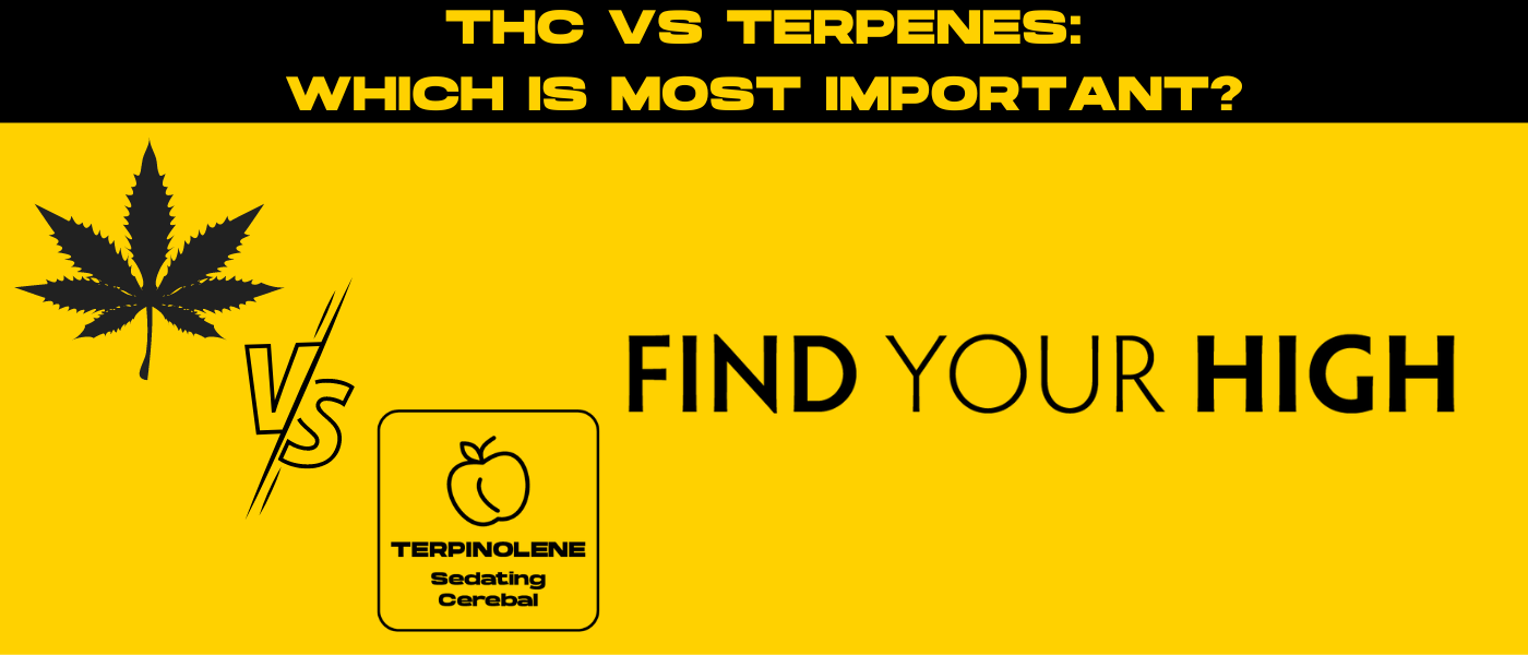 a yellow and black poster with a marijuana leaf.