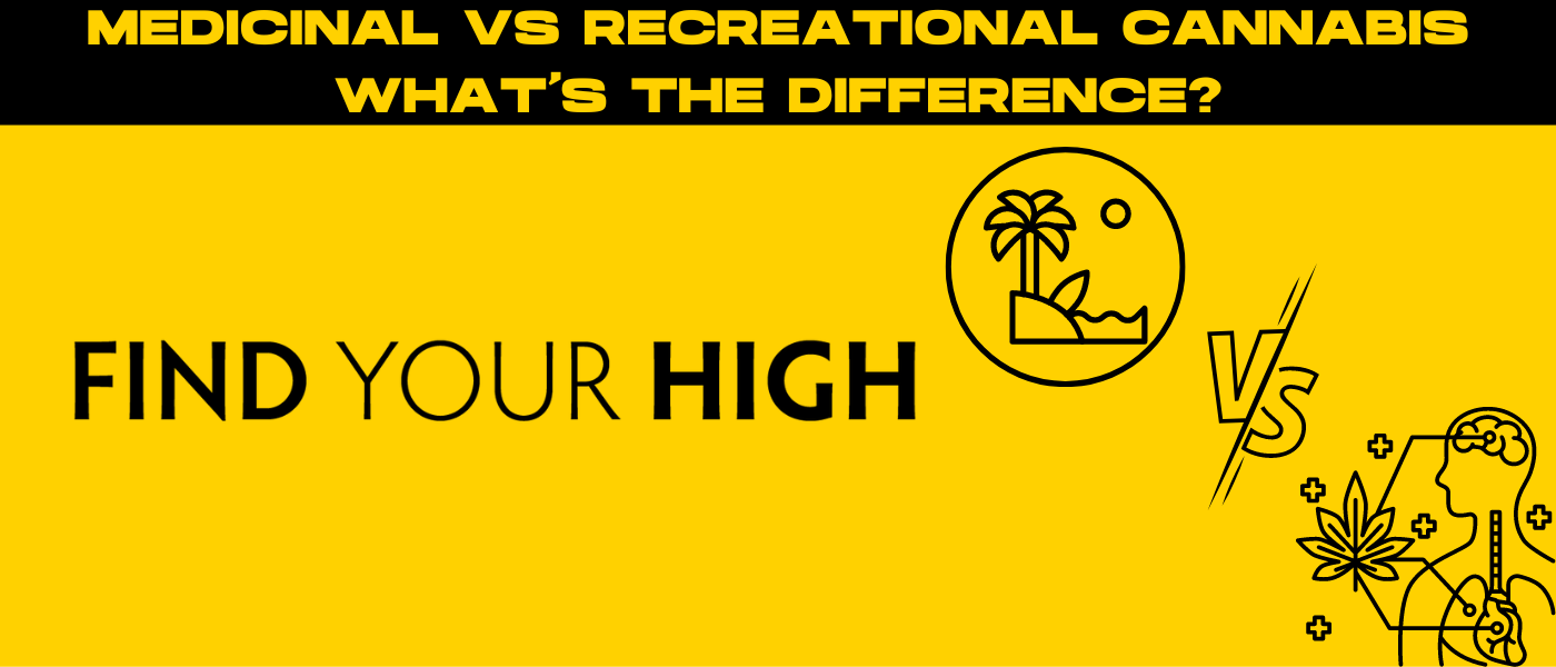 a yellow background with a black and white image of a man and a woman.